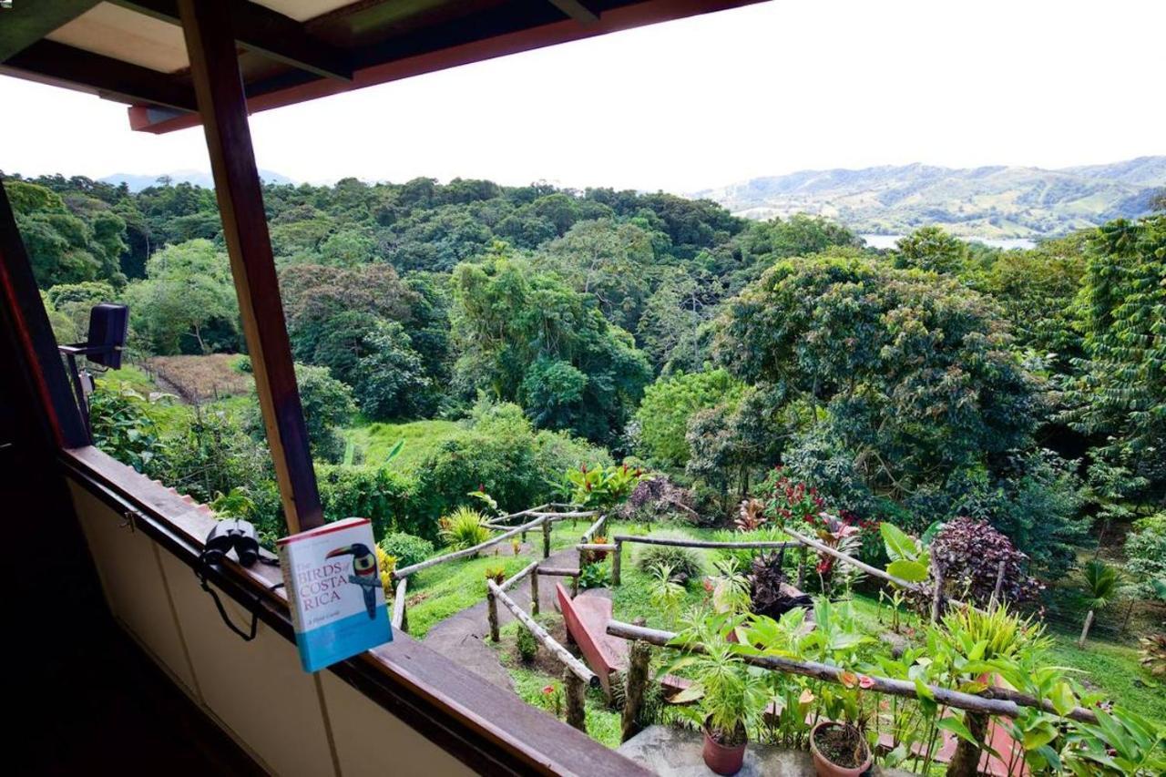 Toucan Lane Hotel And Restaurant Nuevo Arenal Eksteriør bilde