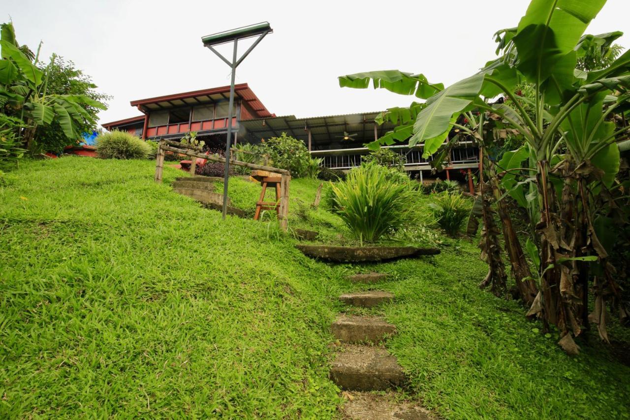 Toucan Lane Hotel And Restaurant Nuevo Arenal Eksteriør bilde